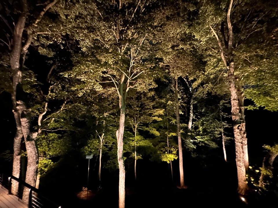 Landscape Lighting Maintenance Landscape Lighting Maintenance